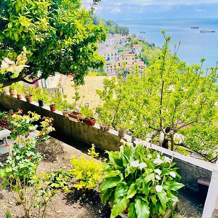 Borgo Virginia - Sea View In Amalfi Coast Διαμέρισμα Vietri Εξωτερικό φωτογραφία