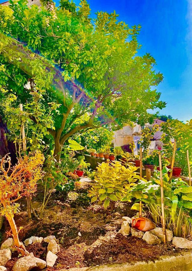 Borgo Virginia - Sea View In Amalfi Coast Διαμέρισμα Vietri Εξωτερικό φωτογραφία