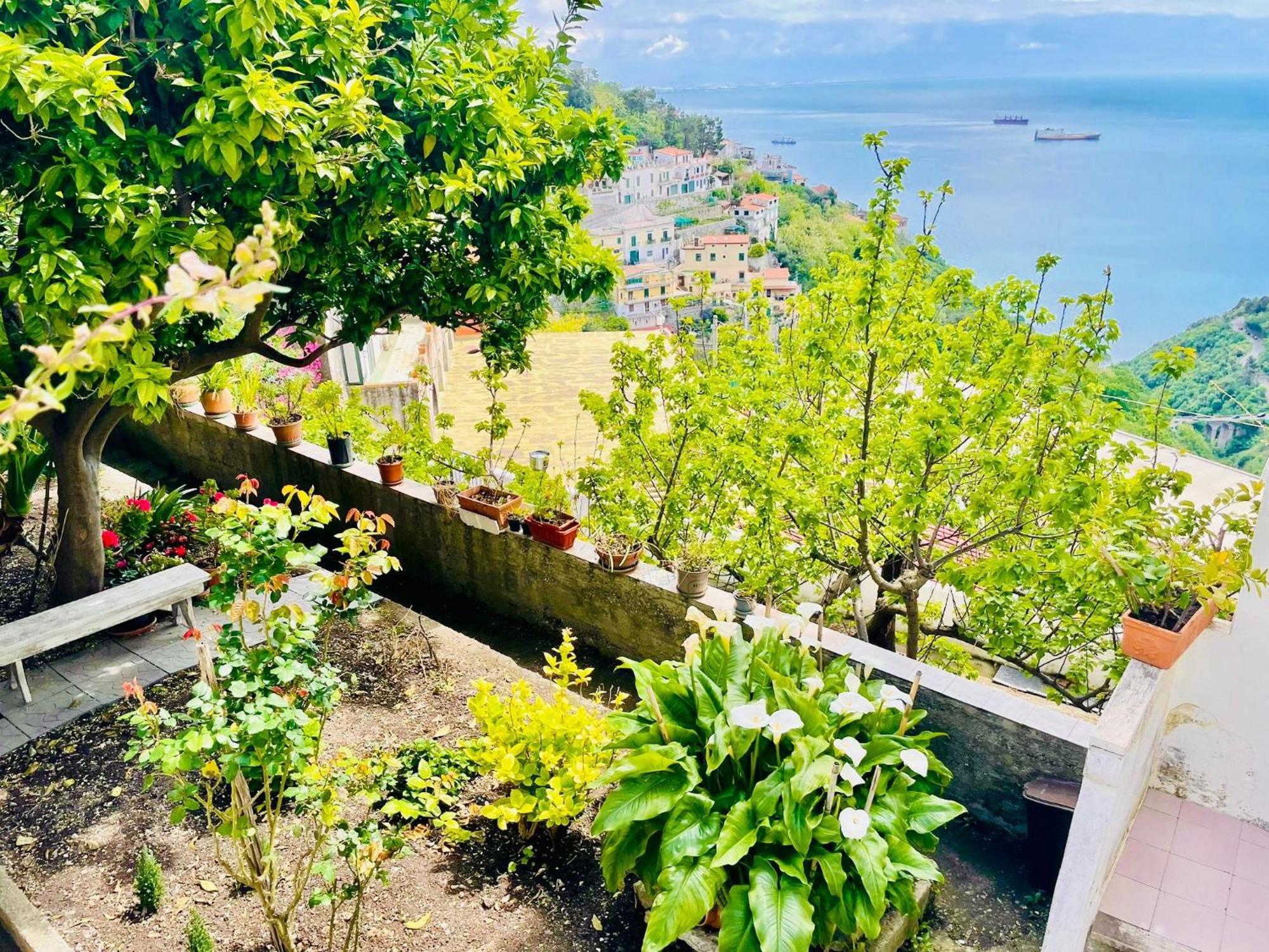 Borgo Virginia - Sea View In Amalfi Coast Διαμέρισμα Vietri Εξωτερικό φωτογραφία