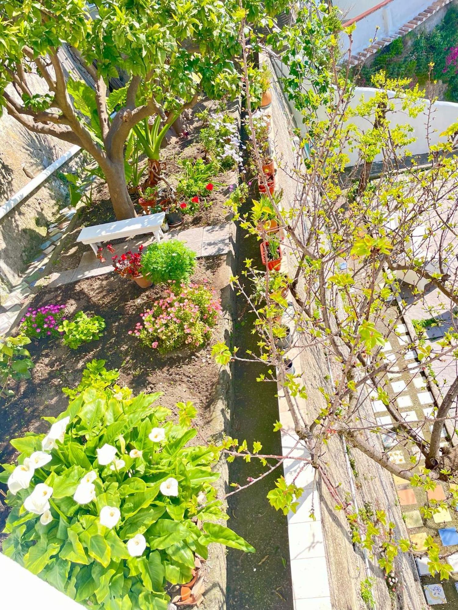 Borgo Virginia - Sea View In Amalfi Coast Διαμέρισμα Vietri Εξωτερικό φωτογραφία